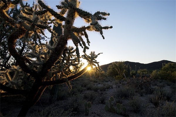 关于家的诗句名言 关于交友的诗句名言