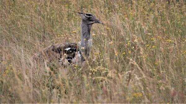关于教育的英语名言