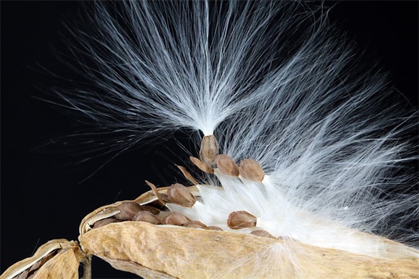 开公司取什么名字聚财 常用旺运势企业名称大全