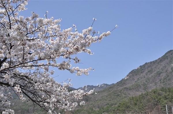 创意新潮公司名字大全 最新版个性化企业名称