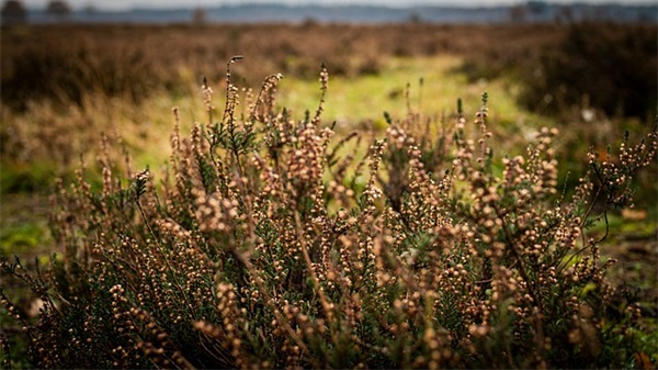 聚财三个字公司名字 新注册公司名称大全