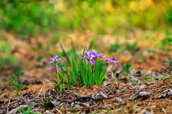 聚财的公司名字大全 寓意旺运势的新企业名称