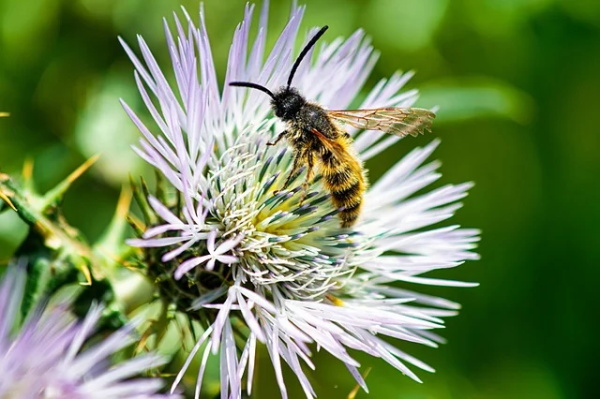 新注册公司热门名称大全 顺口大气公司名字