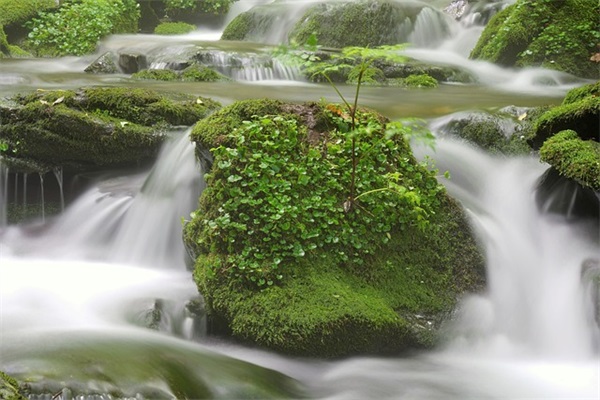 科技公司起名大全最新 高端大气的企业名称