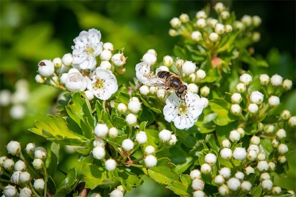 300个吉祥公司名字大全最新版 公司如何取名