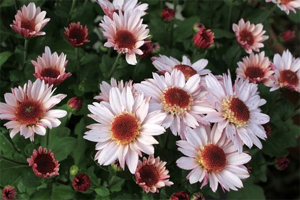 唯美浪漫的月亮网名女生