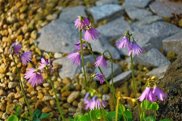形容非常失望微信网名