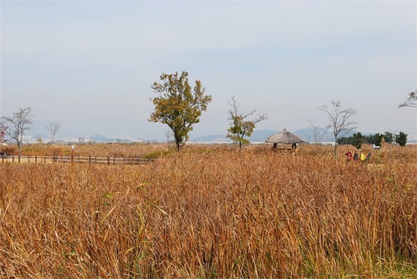 吉祥如意的微信网名 吉祥如意的微信网名