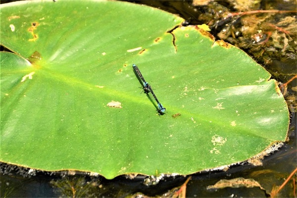 蕴含着很好的微信网名