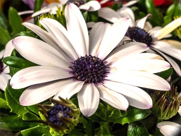 女生酷一点的微信网名