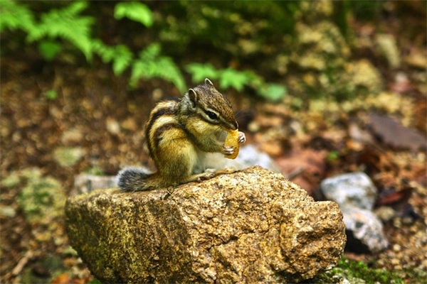 微信少年网名大全