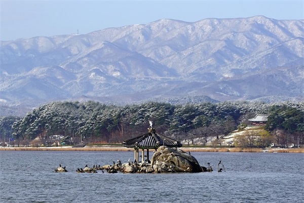 唯美网名大全女生版