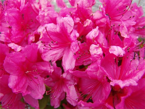 唯美诗意的名字男生网名