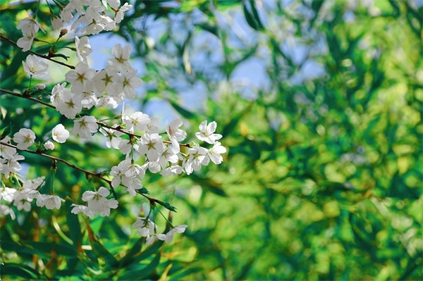 带云字唯美网名