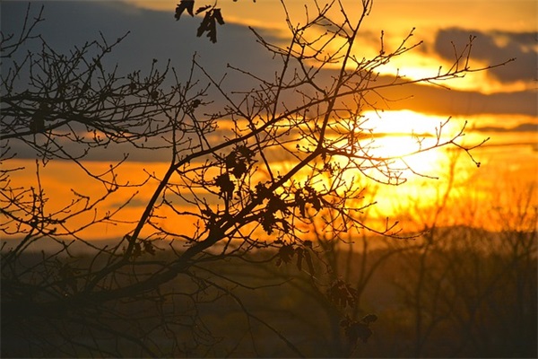 qq网名女生唯美学院