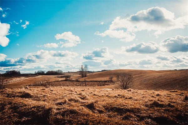伤感诗意唯美网名