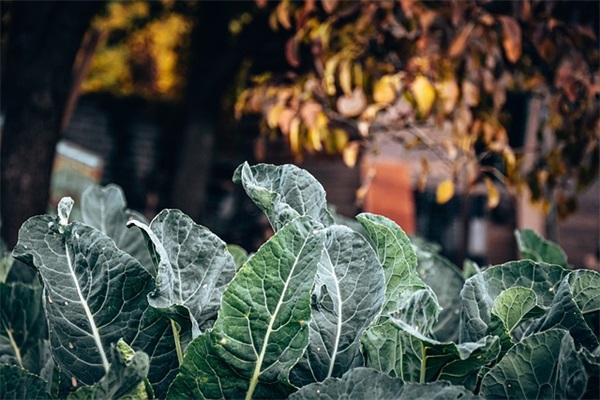 唯美伤感网名设计