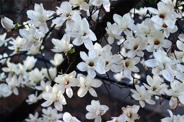 含欧阳唯美网名