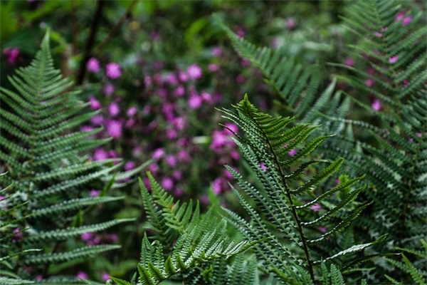 带雨字唯美一点的网名