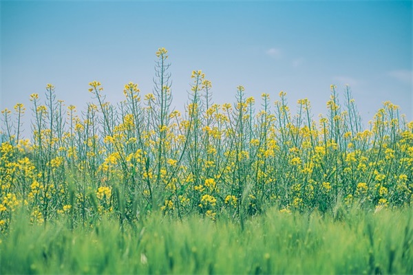 好听的网名伤感唯美