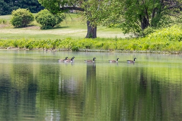 女生网名诗意唯美4个字