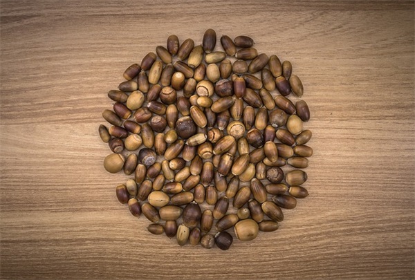 唯美西班牙语网名