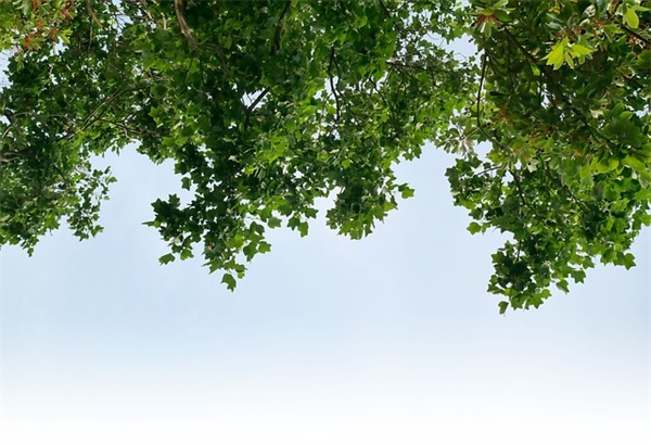 超唯美古风网名情侣