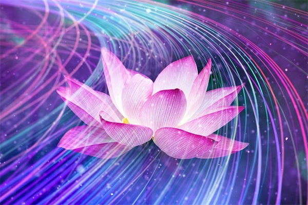 唯美清新高雅网名女生