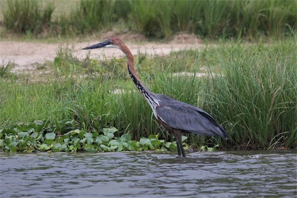 唯美意大利语网名