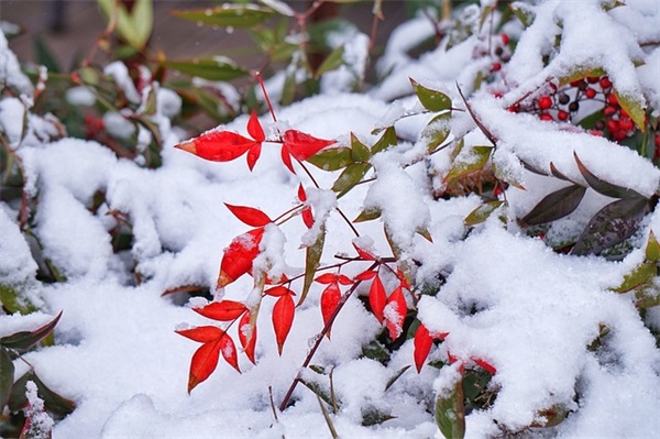 微信网名不带符号唯美