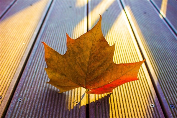 唯美儒雅的网名