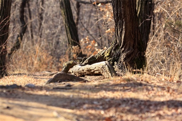 qq唯美伤感古风网名