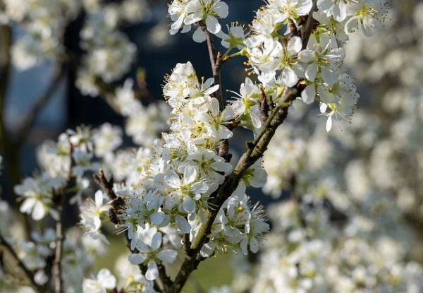 qq符号网名唯美