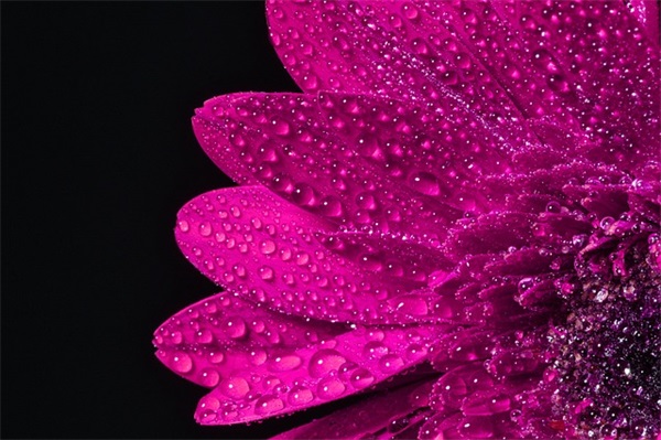 妞开头的唯美网名