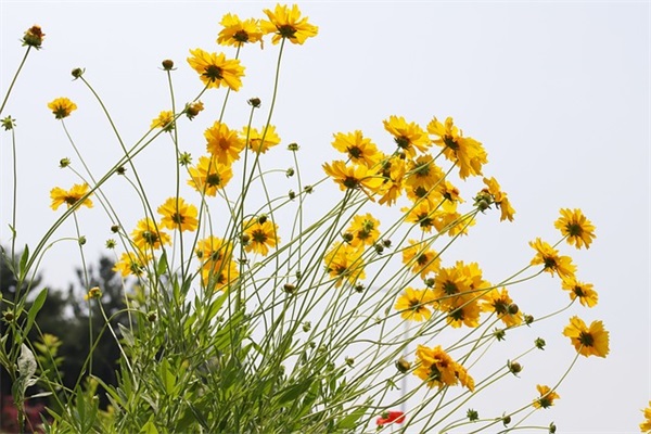 qq网名女生唯美5字