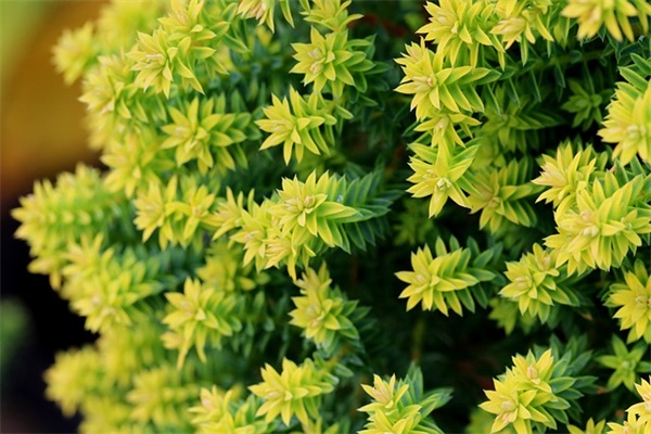 女生网名忧伤唯美