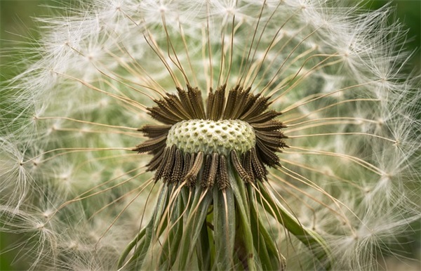 唯美英文女生网名大全