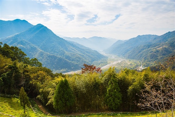 2025最新唯美网名女生