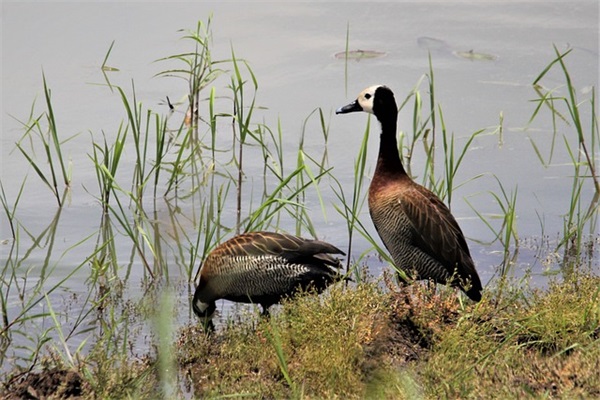 南京近期上牌照号码是什么？