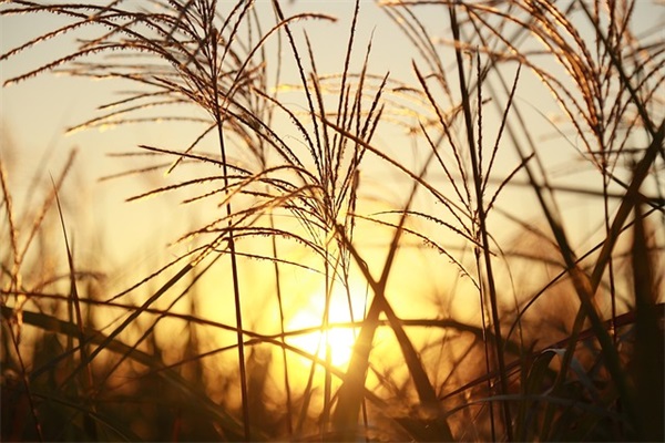 祖国的大好河山，是如斯标致。那还等什么呢？