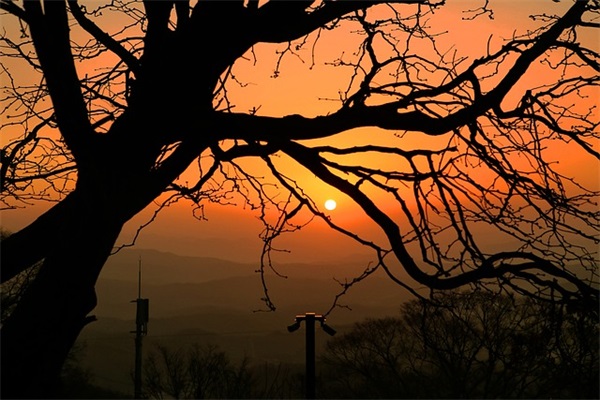 绿碳化硅磨料有什么作用