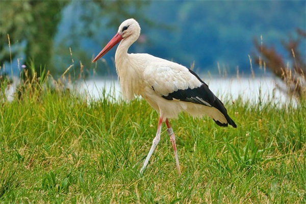 什么是新规定优于旧规定？