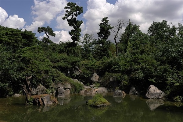 麦乐鸡是什么？