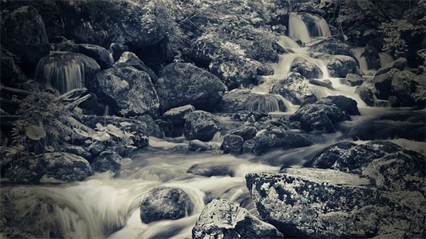 什么是产品召回？