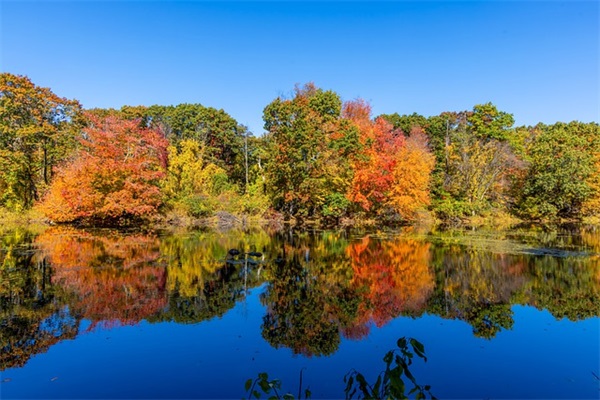 中国洁净行业销售排行榜是什么？