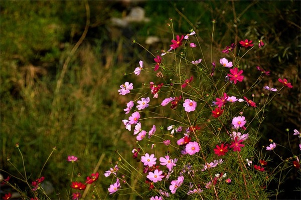 闭环伺服有什么用？
