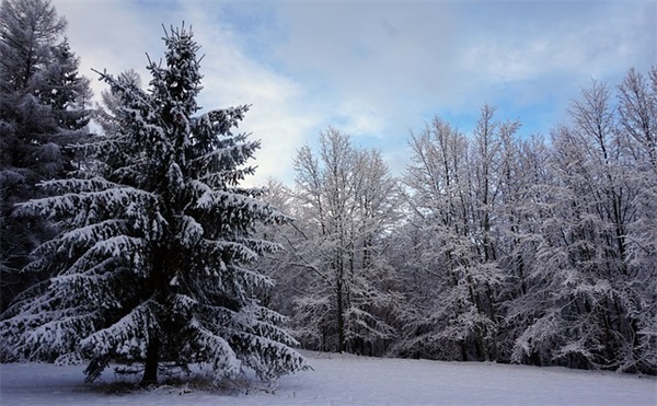 婚姻是什么？爱情是什么？