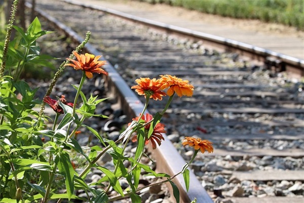 汕头市什么时候禁摩，禁摩以后助力车可以行驶吗？？
