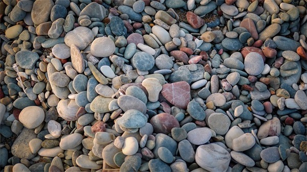 粳米是什么米。产地是？