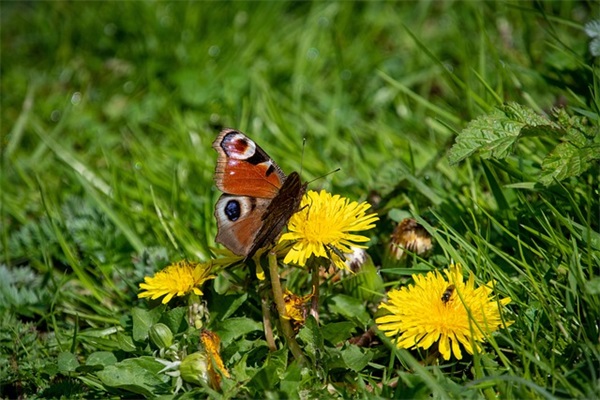中国最年轻的城市是哪个？有什么特色？